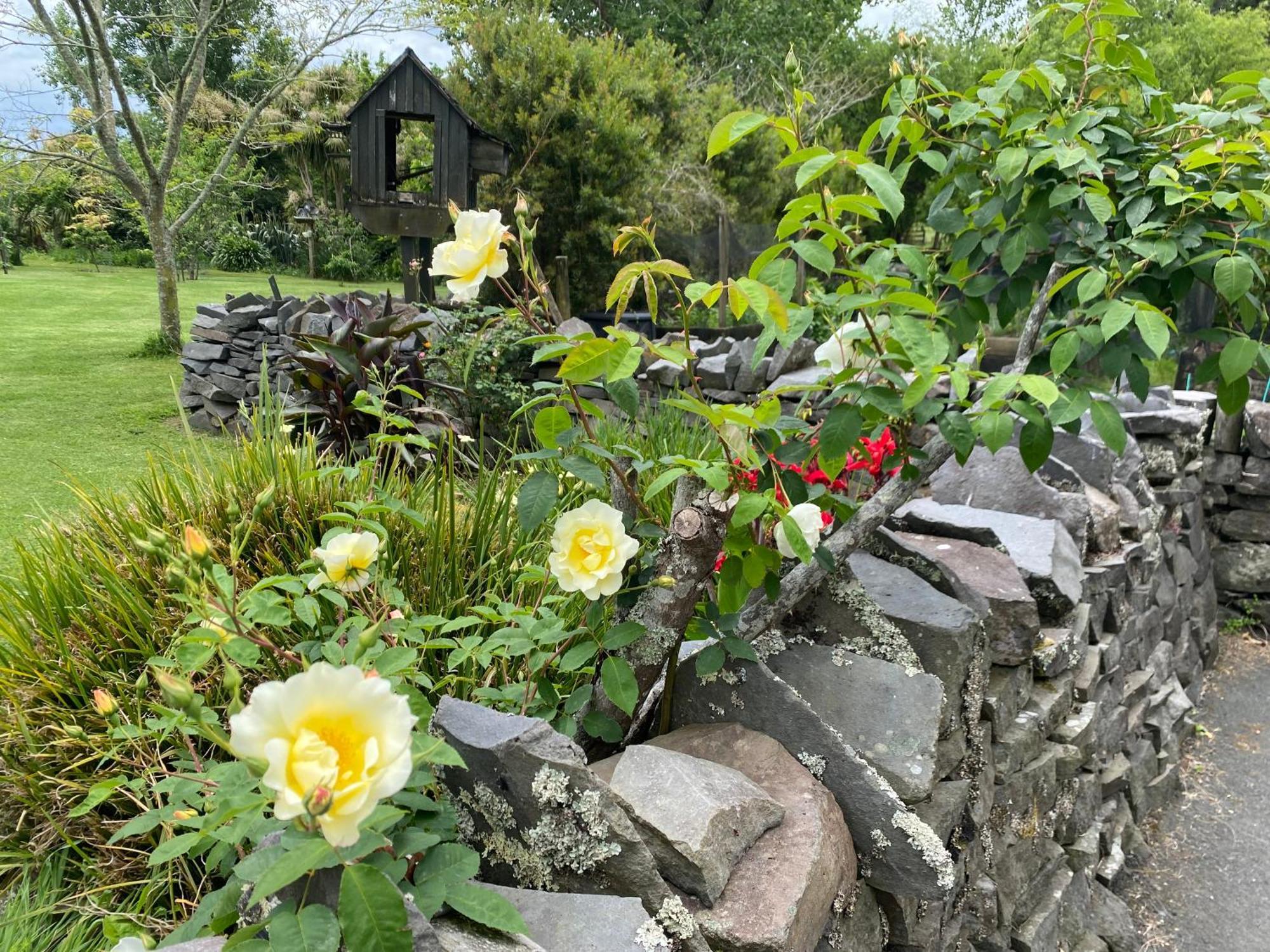 Willows Reach Lodge Kumeu Exterior foto